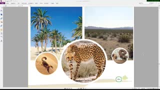 پایه چهارم اجتماعی درس 18 قسمت 1