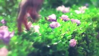 کانال یانور، پیروزی نور، اهنگ رومانتیک، BEAUTIFUL FOREVER - Giovanni Marradi