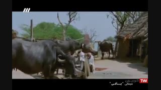 فیلم هندی یاغی