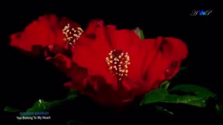 موسیقی رمانتیک، GIOVANNI MARRADI - You Belong To My Heart