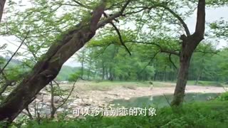 سریال چینی زیبا رویانی در کمد (زیبایی مخفی) قسمت 07 با زیرنویس فارسی /Beauties in the Closet Chinese Drama 2018