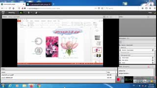 خانم بابایی -زیست پایه یازدهم -فصل 8 -گفتار 2-تولید مثل جنسی در گیاهان