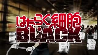 تریلر انیمه Cells at work!! Code Black