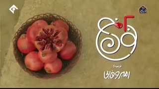 سریال نون خ 2 قسمت 14 (آخر) - چهاردهم