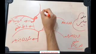 سی تی اسکن مغز و سکته مغزی و سوال بالینی