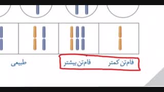 انواع گونه زایی