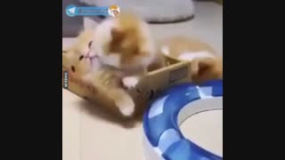 پیشولی^*~*^