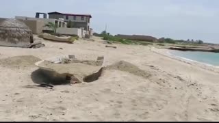 ریختن آب در آسیاب نابودی گونه‌های جانوری