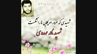 دوست شهید من