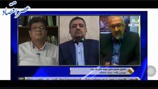 بررسی ماجرای معدوم سازی مرغ های یک روزه