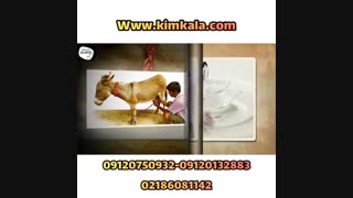 قیمت شیر الاغ 09120132883