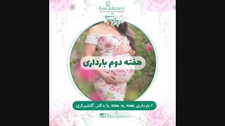 تغییرات در هفته دوم بارداری