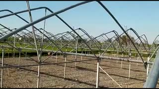 ساخت گلخانه شیشه ای | 09125753841