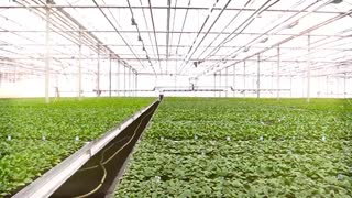 مه پاش گلخانه | 02166565060