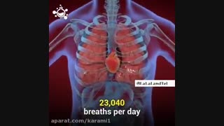 شگفتی های بدن انسان