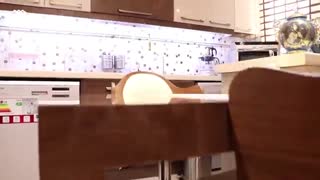 خرید آپارتمان لوکس و خوش نقشه در رشت