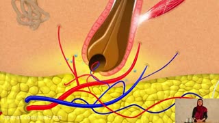 جلوگیری-از-ضد-ریزش-مو