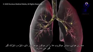 چه زمانی شما به ویروس کرونا مبتلا هستید؟
