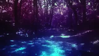 藍井艾露／鳶尾花 (中文字幕短版MV) 2019最新專輯《FRAGMENT》4.19.台壓發行(موزیک ویدیو)