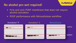 برترین فروشندگان مواد آزمایشگاهی در ایران ؟ (فروش 09357007743)
