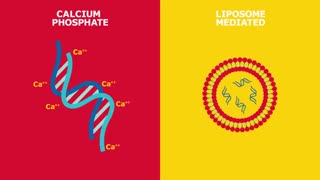 مراکز فروش  سیگما آلدریچ در  ایران (فروش 09357007743)