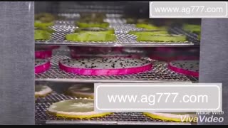 دستگاه خشک کن میوه