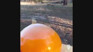 قابل توجه نوشابه خورها