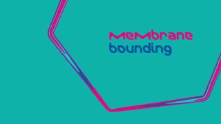 سفیر آزما کیان بهترین سایت فروش مرک آلمان (فروش 09357007743)