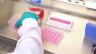 سیگما آلدریچ و مرک آلمان (فروش 09357007743)