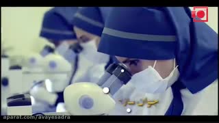 شن های نقره ای