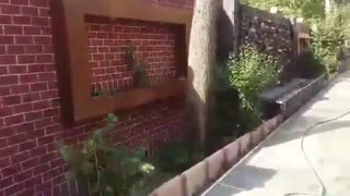 نصب سنگ مالون سنگ لاشه جوینده به صورت منظم و نامنظم باکیفیت ۰۹۱۲۴۰۲۶۵۴۵