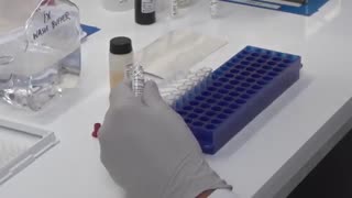 وارد کننده کیت تحقیقاتی در ایران (فروش 09357007743)