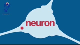 عملکرد مغز در بدن انسان