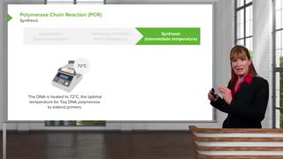 نمایندگی کیت آزمایشگاهی در تهران کجاست ؟ (09357007743 فروش)