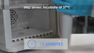 خرید آنلاین کیت آزمایشگاهی از سفیر آزما کیان (09357007743 فروش)