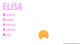 سفیر آزما کیان مرجع فروش کیت آزمایشگاهی (09357007743 فروش)