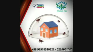 شرکت سمپاشی تهران