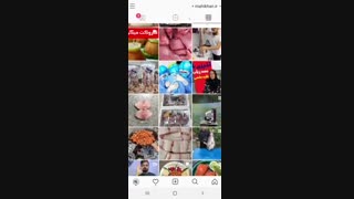 ماهی و میگو جنوب ماهی خان