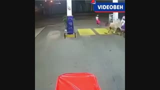 طنز| مگه نگفتم تو خونه بمونید