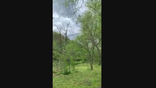 پارک جنگلی rock creek در ایالت مریلند