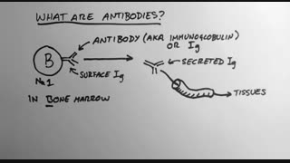 نمایندگی فروش آنتی ژن و پادتن کجاست ؟ (09357007743 فروش)