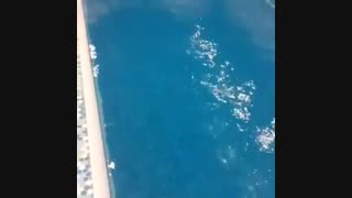 اجاره ویلا استخردار در رامسر