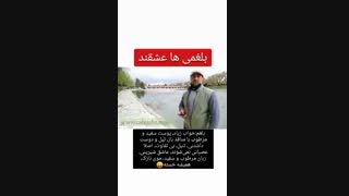 مزاج شناسی-بلغم