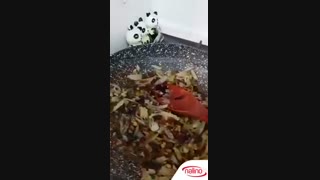 آموزش قنبر پلو شیرازی با خانم صدف قاسمی