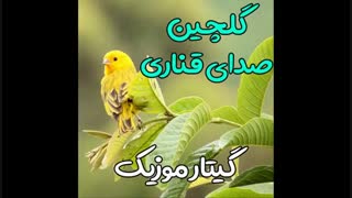 صدای قناری قرمز / جدید 2020