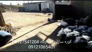 کوره زغال لیمو با ضمانت تولید