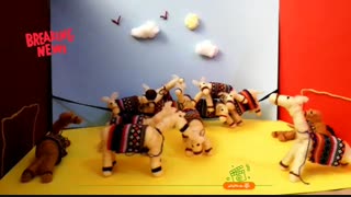 کرخرک و علیرضا جهانبخش