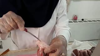 فیلم اموزشی شش گوسفند