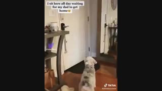 نگاه کنید یه ذره محبت و مهربانی چه کارا که نمیکنه