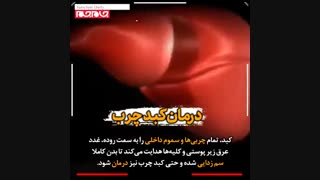 وقتی روزه می گیریم چه اتفاقی در بدن می افتد